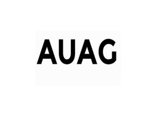 AUAG - Auto Update Approval Guard
